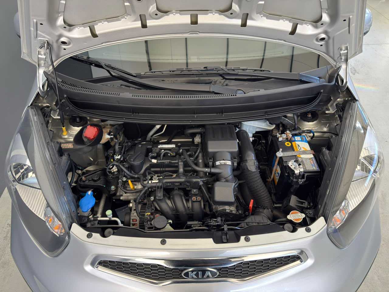 PICANTO EX 1.0 AT
