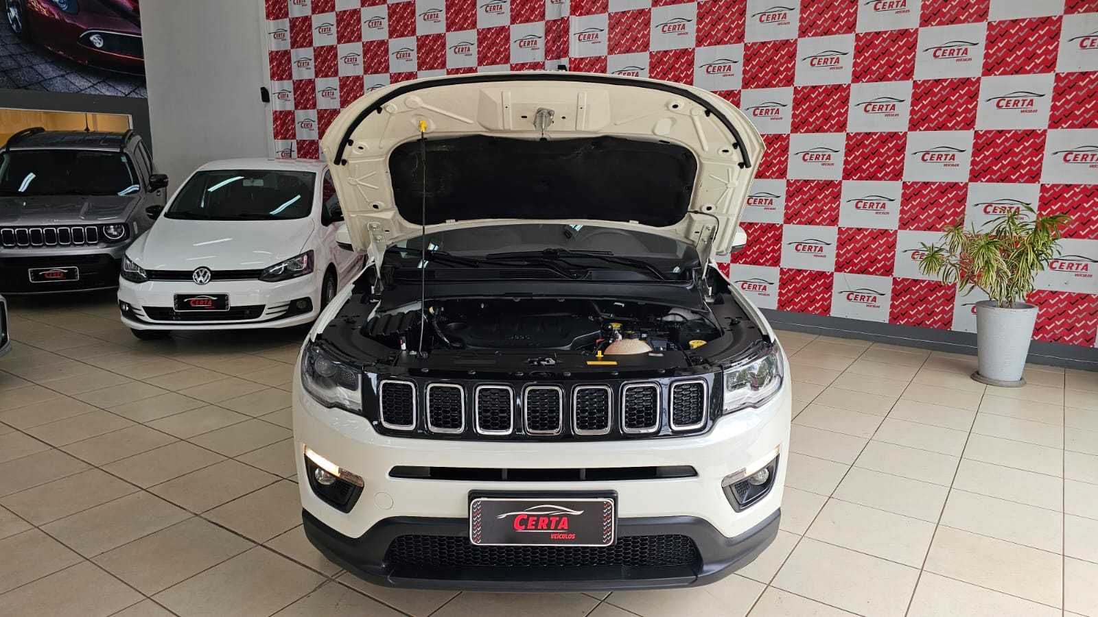 COMPASS LONGITUDE  FLEX