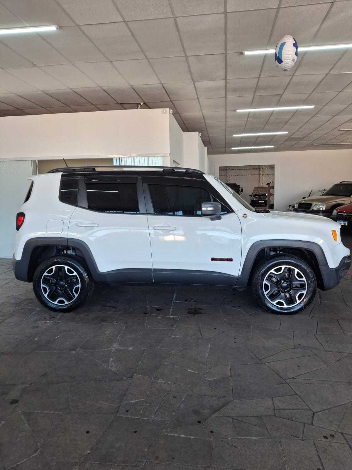 RENEGADE THAWK 2.0 4X4