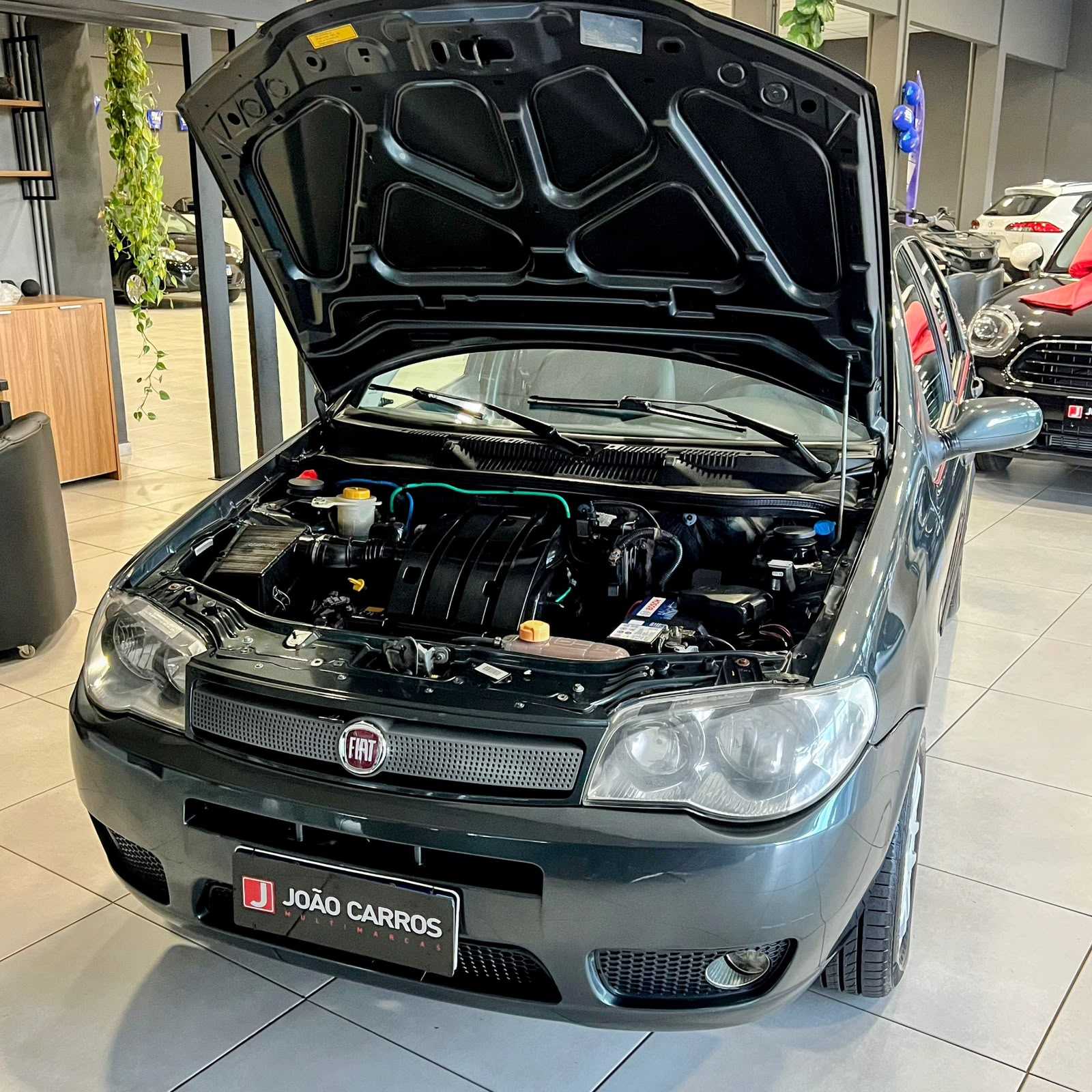 PALIO 1.0 FIRE ECONOMY MANUAL