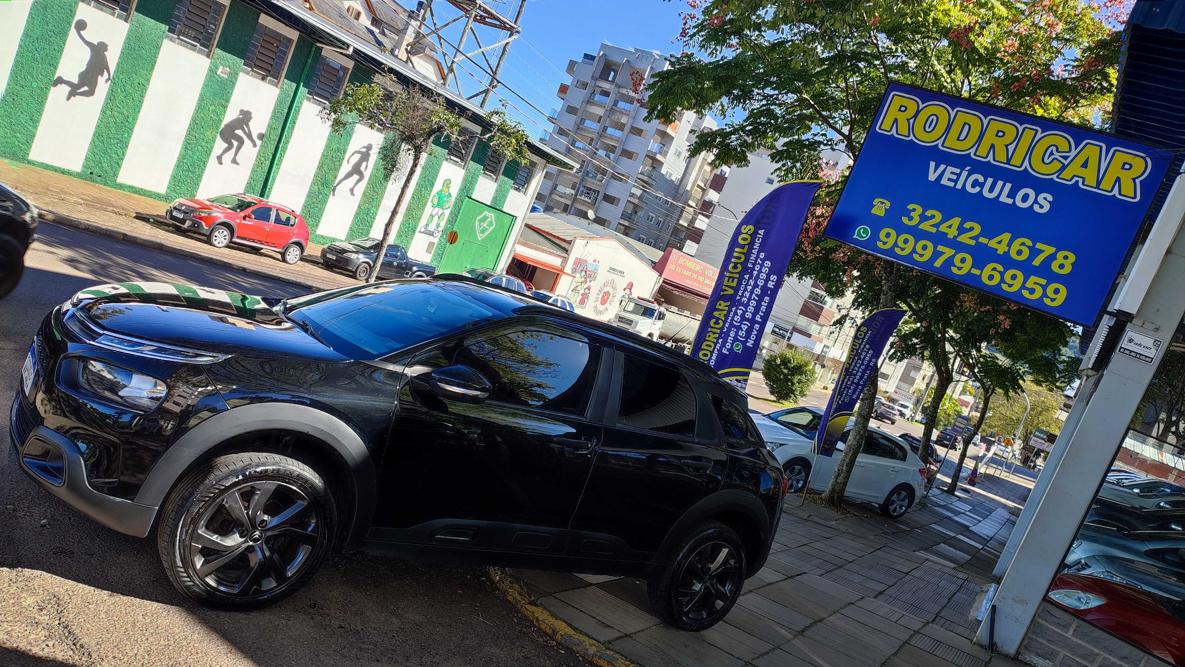 C4 CACTUS FEEEL AUTOMSTIC