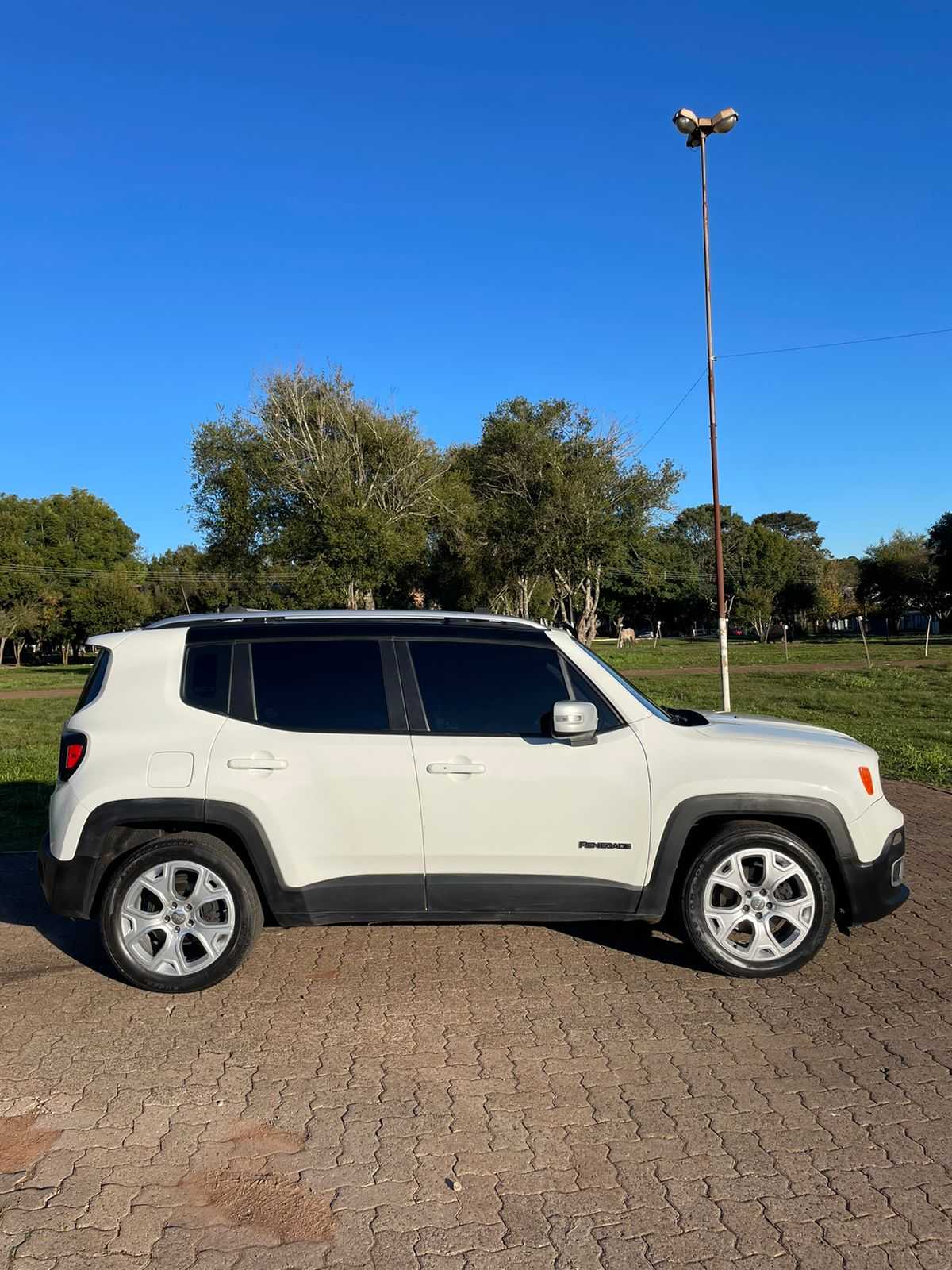 RENEGADE LIMITED  1.8 AUT.