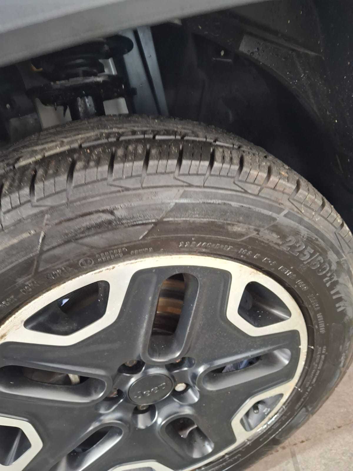 RENEGADE THAWK 2.0 4X4